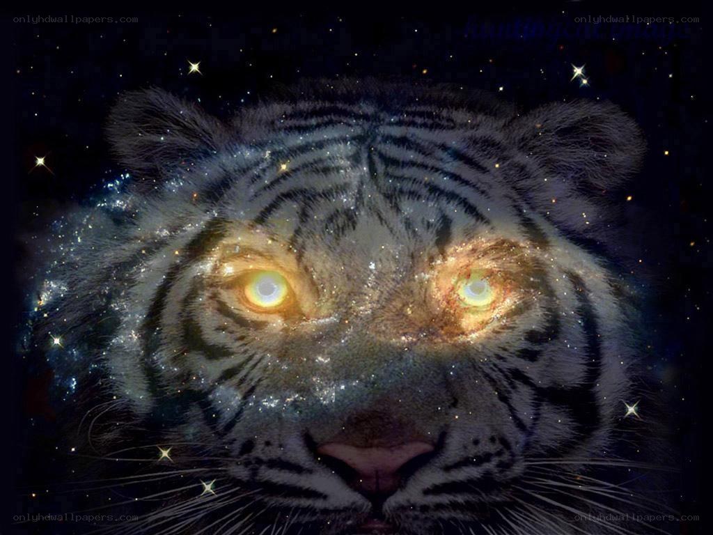 tiger with galaxy eyes
