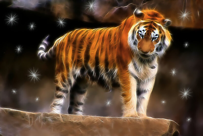 tiger with glowing effect