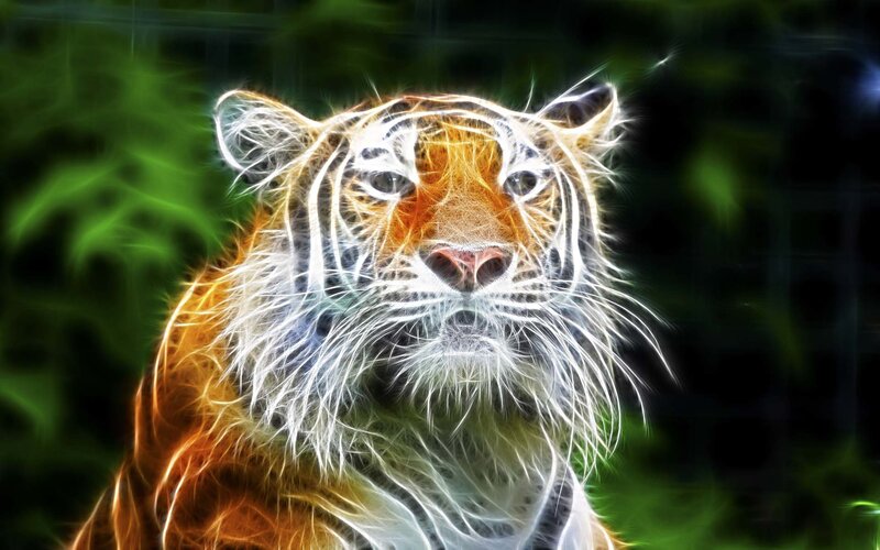tiger with glowing effect