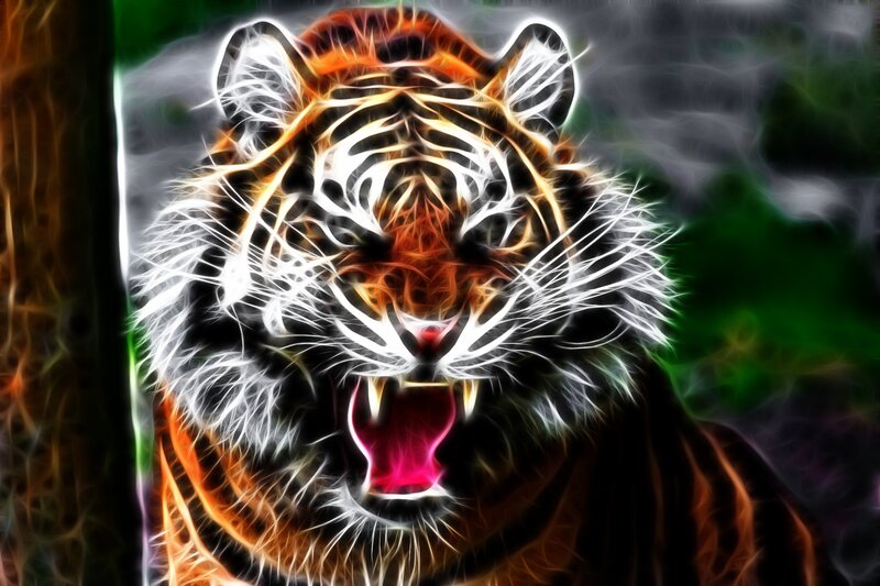 tiger with glowing effect