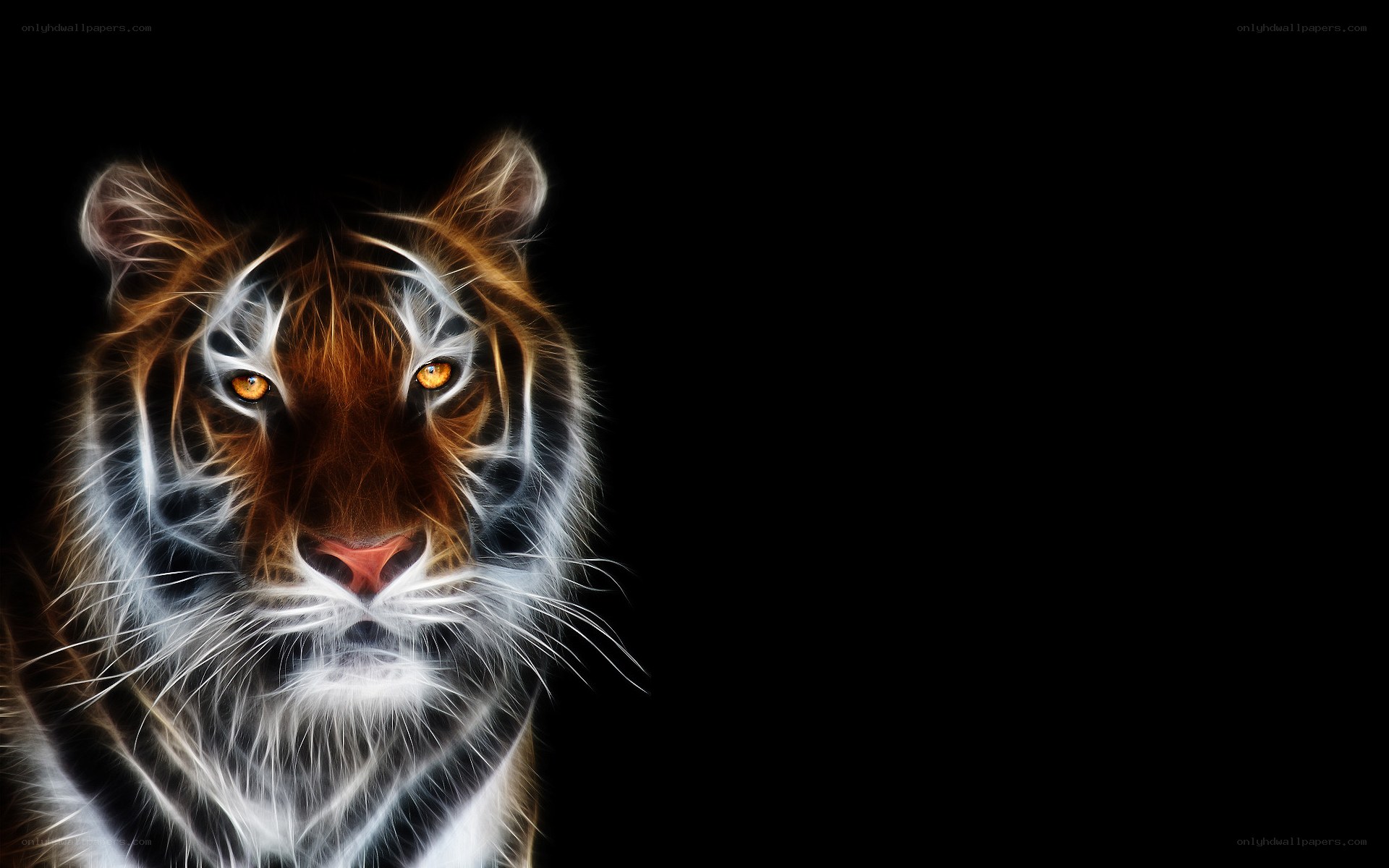 tiger with glowing eyes