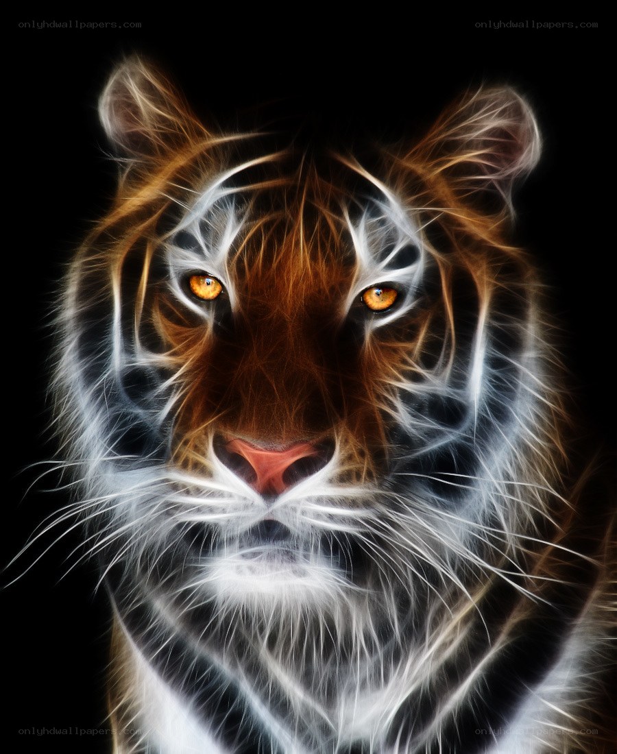 tiger with glowing eyes