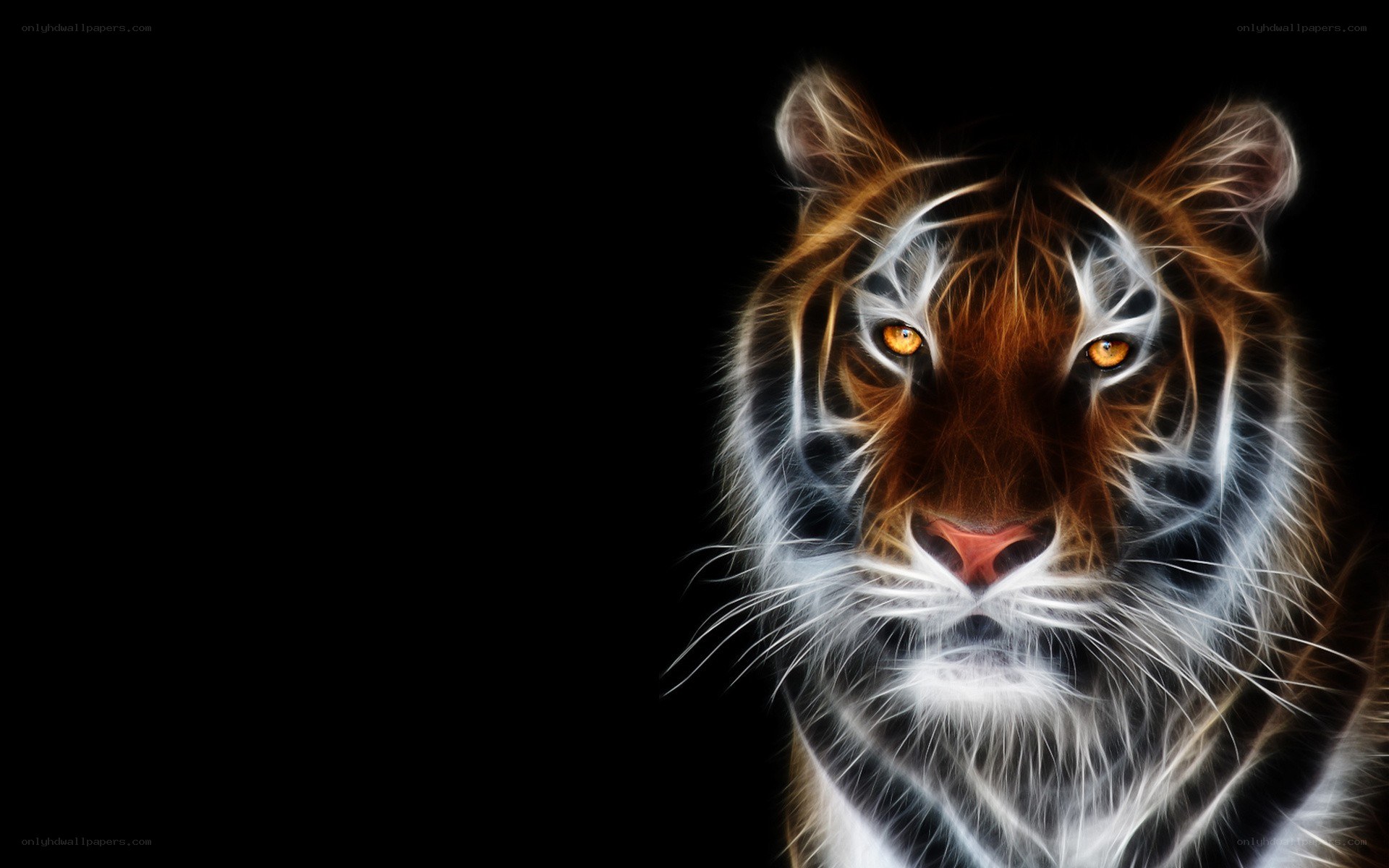 tiger with glowing eyes