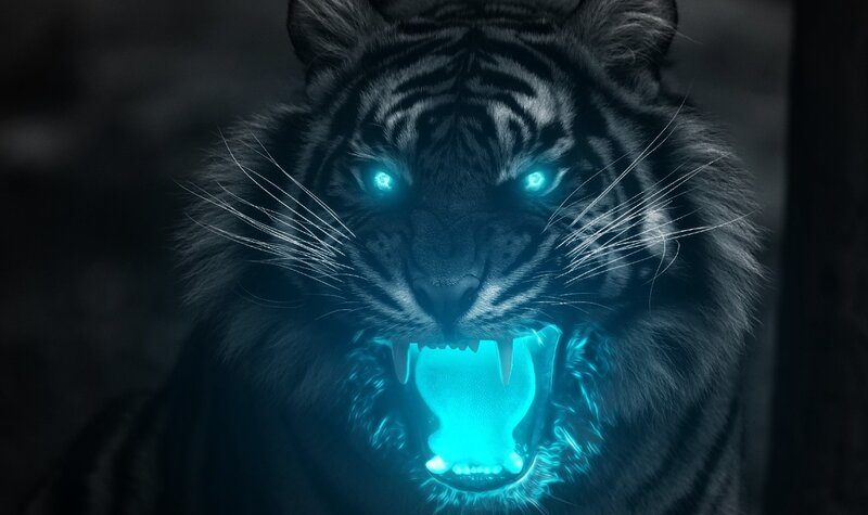 Tiger with Glowing Eyes — Black, Dramatic, Night