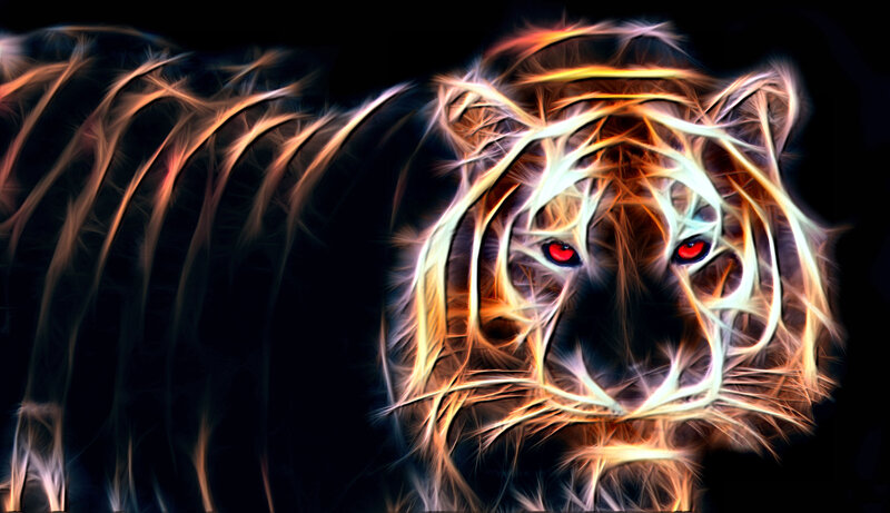 Tiger with Glowing Eyes — Black, Dramatic