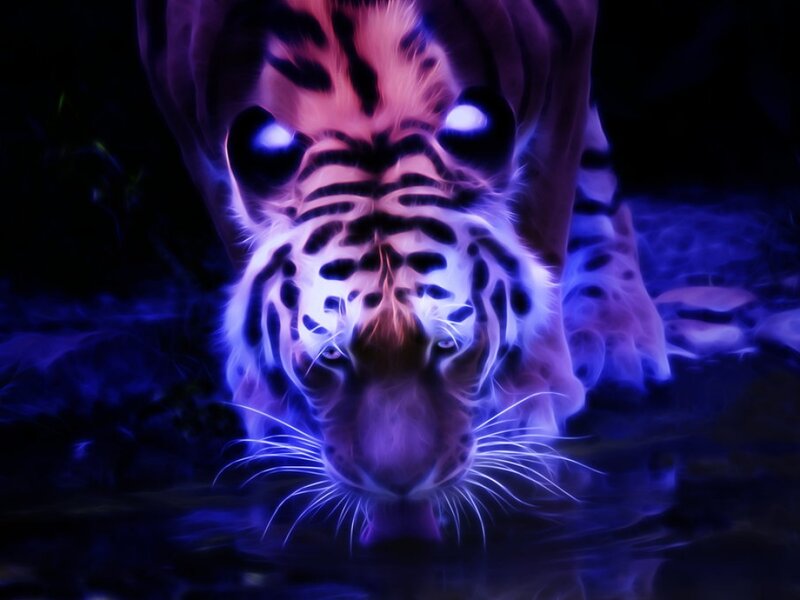 Tiger with Glowing Eyes — Purple