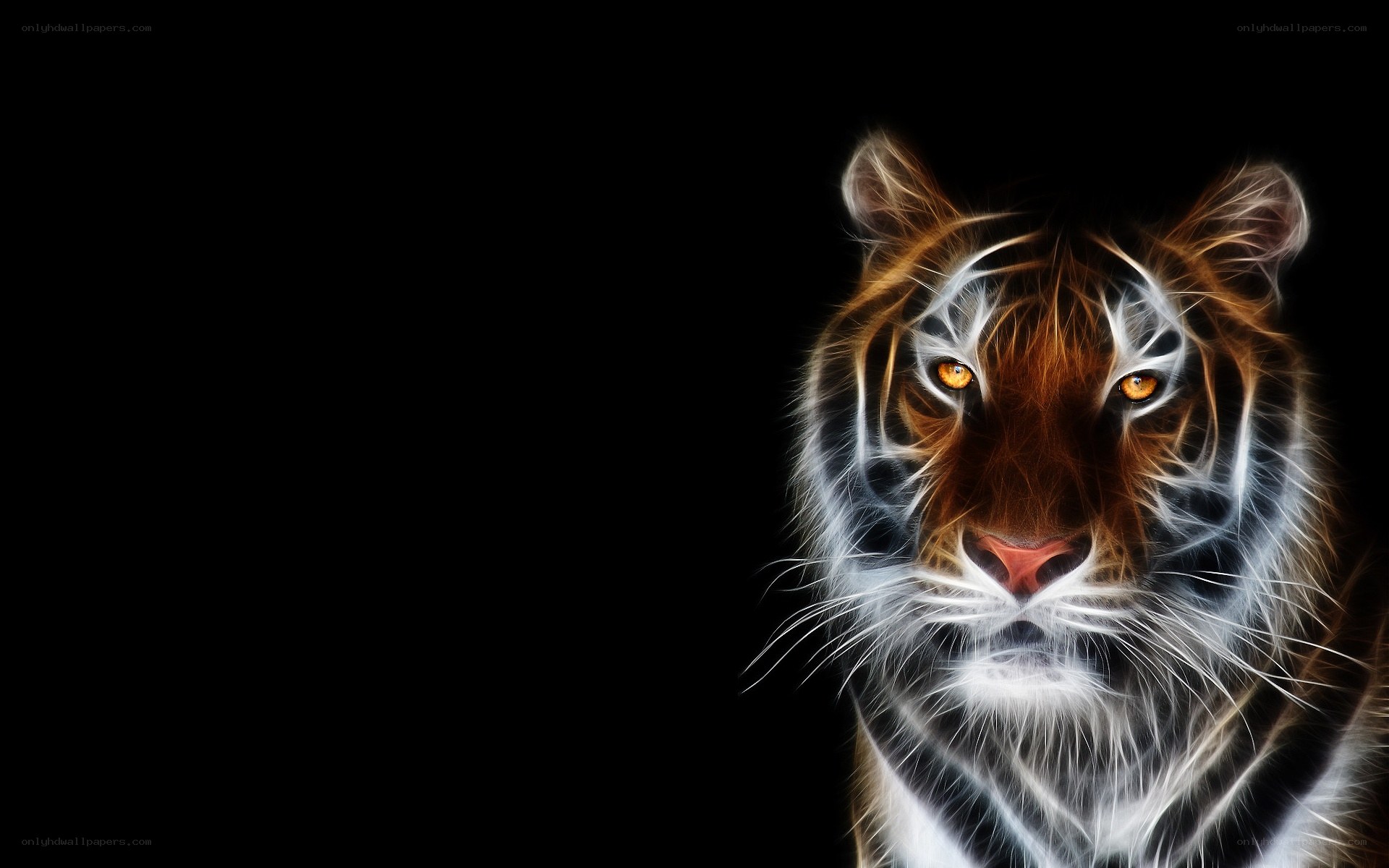 tiger with glowing eyes