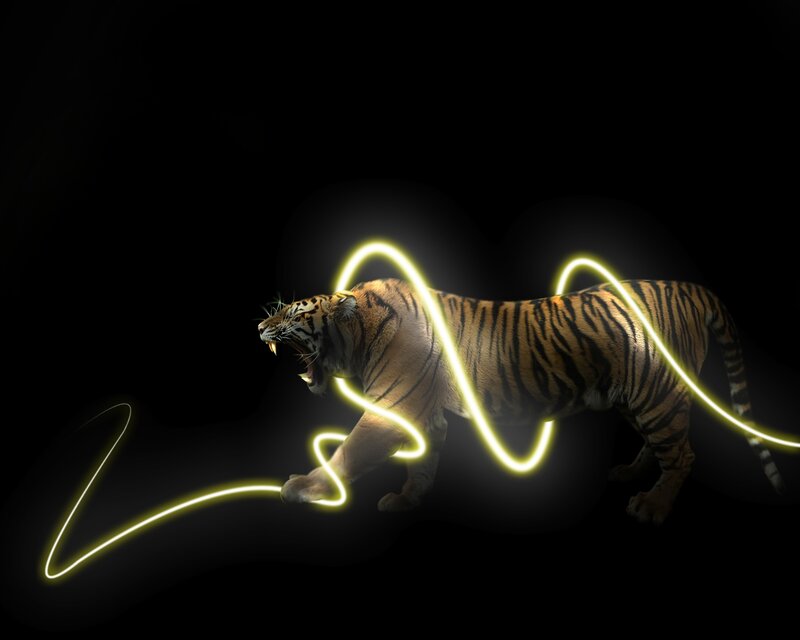 Tiger with Glowing Lines — Black, Dramatic