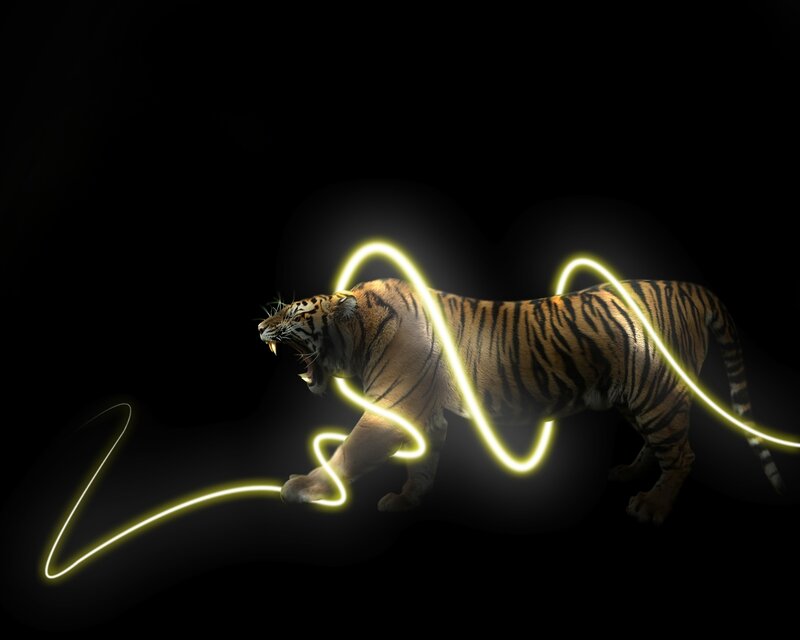 Tiger with Glowing Lines — Black