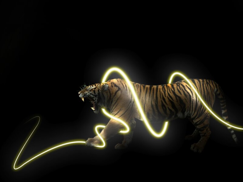 Tiger with Glowing Lines