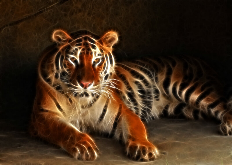 Tiger with Glowing Stripes — Orange, Dramatic