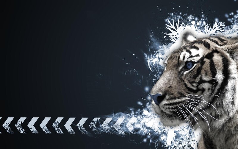 tiger with icy effects