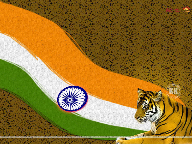Tiger with Indian Flag