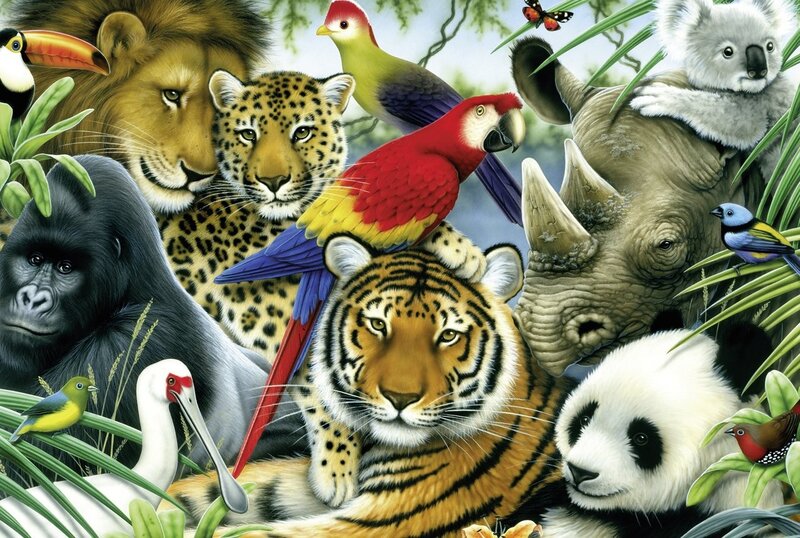 Tiger with Jungle Animals