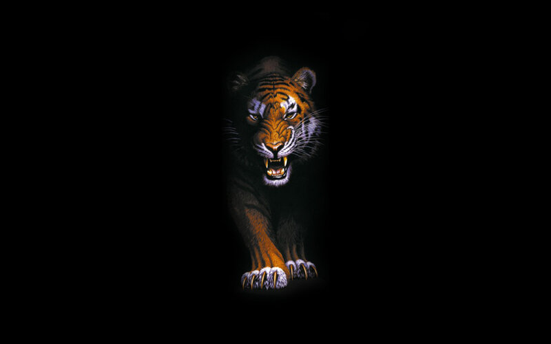 Tiger with Open Mouth — Black, Aggressive, Night