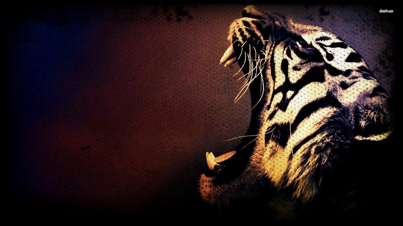 Tiger with Open Mouth — Black, Dramatic, Night