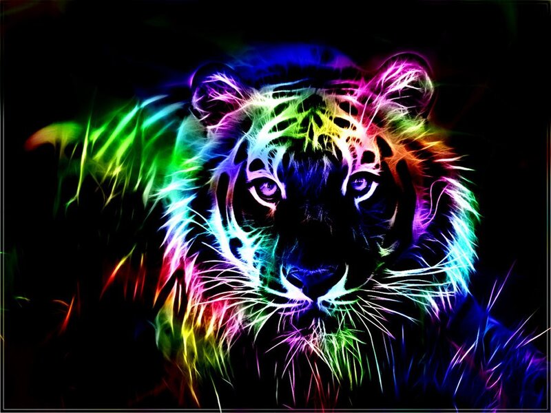 Tiger with Rainbow Fur