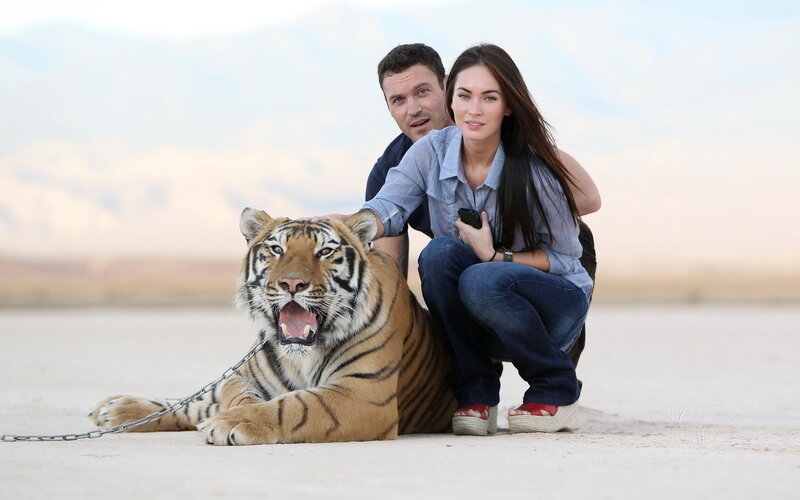 Tiger with Two People