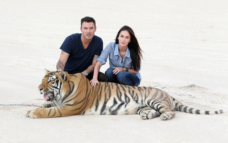 Tiger with Two People — White