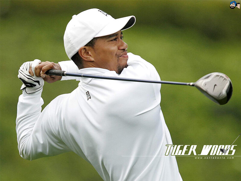 Tiger Woods golf swing