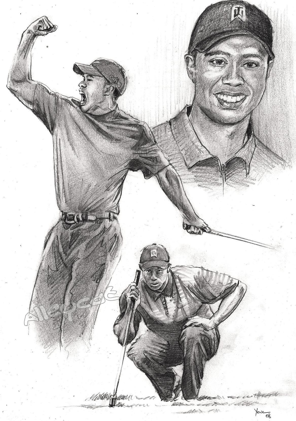 Tiger Woods pencil sketch