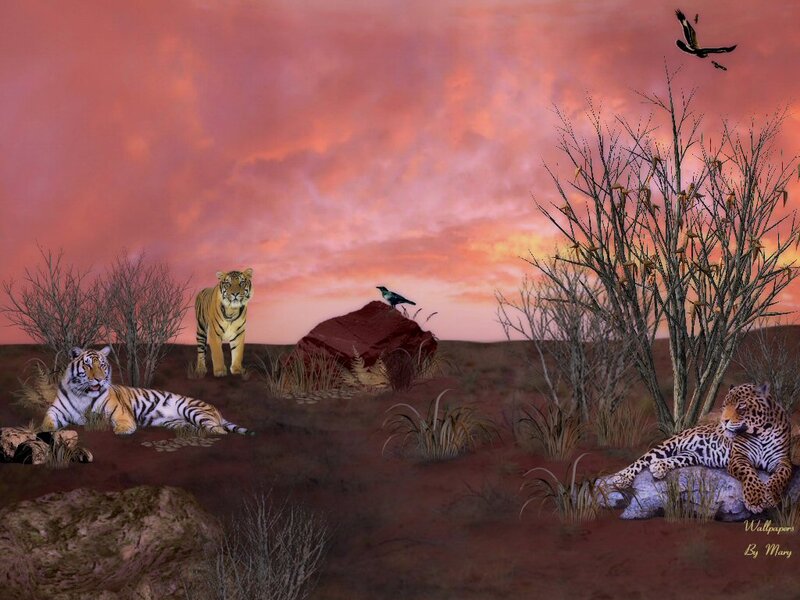 Tigers and a Jaguar