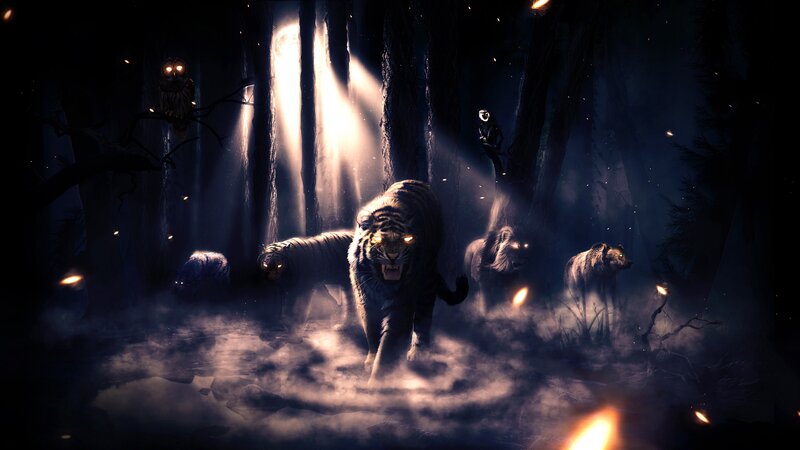 tigers in a dark forest