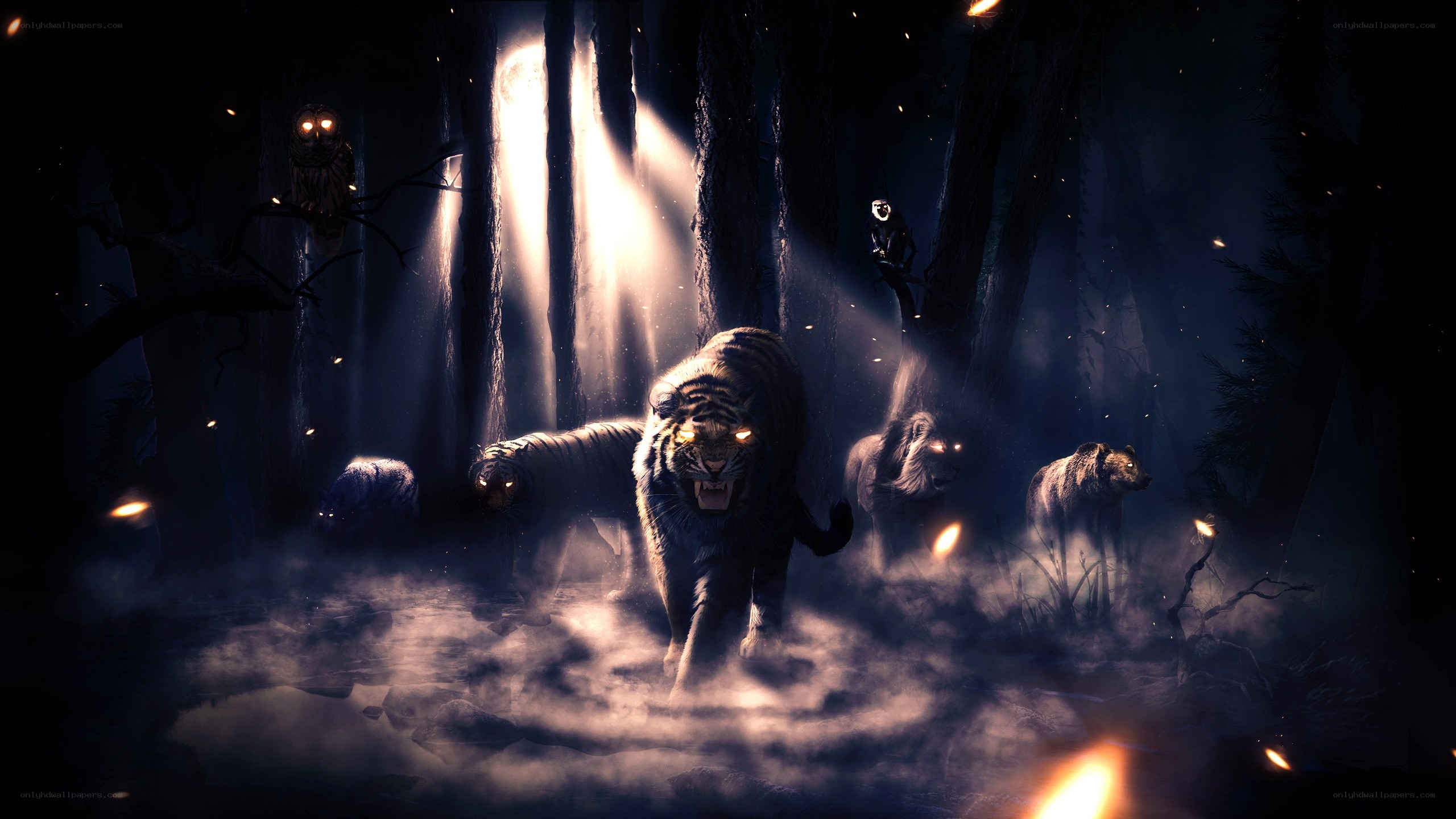 tigers in a dark forest