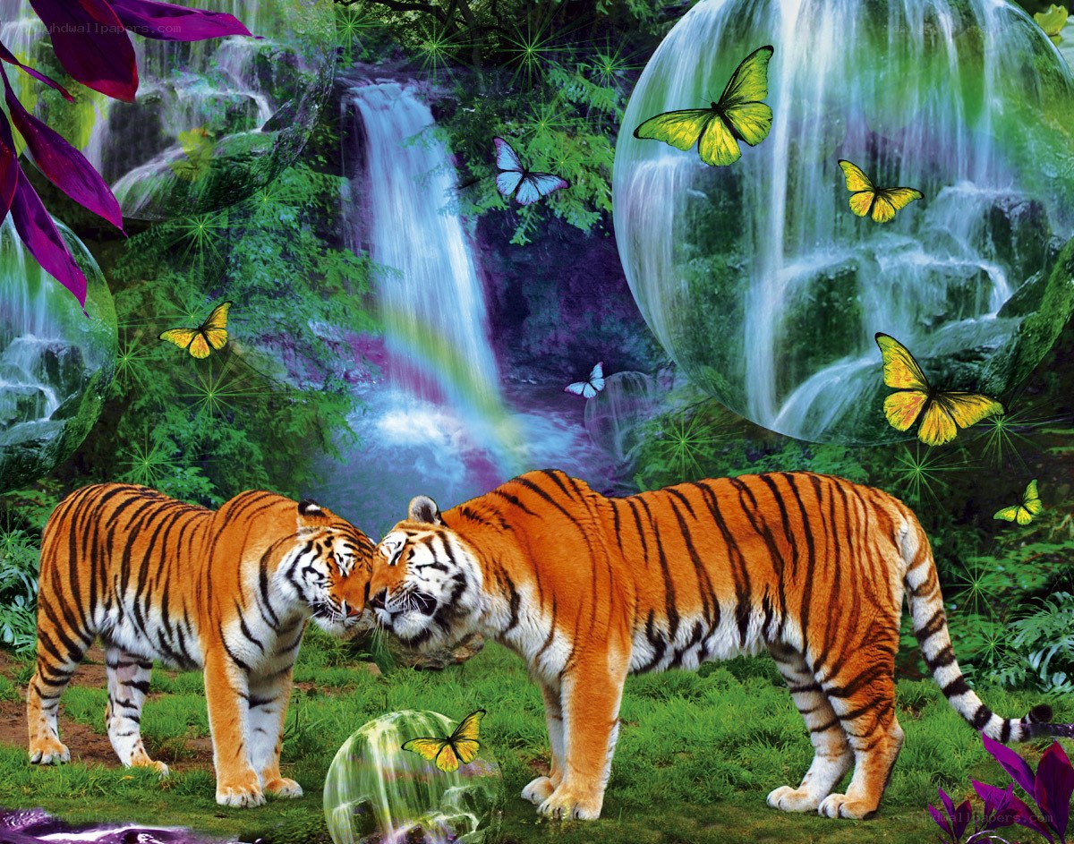 Tigers in a magical forest