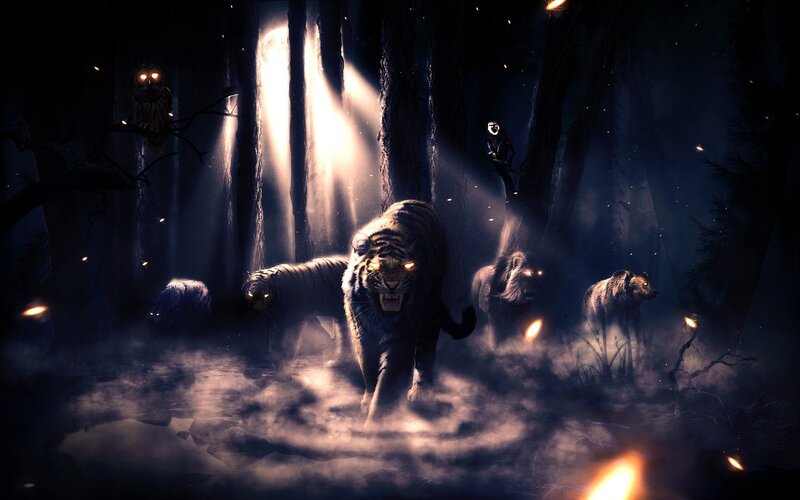 Tigers in Dark Forest — Black, Dramatic