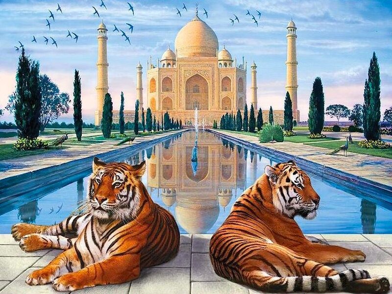Tigers in Garden — Orange