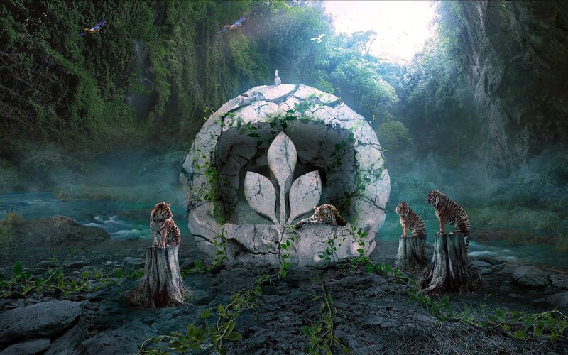 Tigers in Jungle Cave