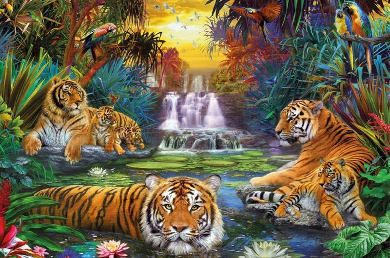 Tigers in Jungle — Orange, Serene