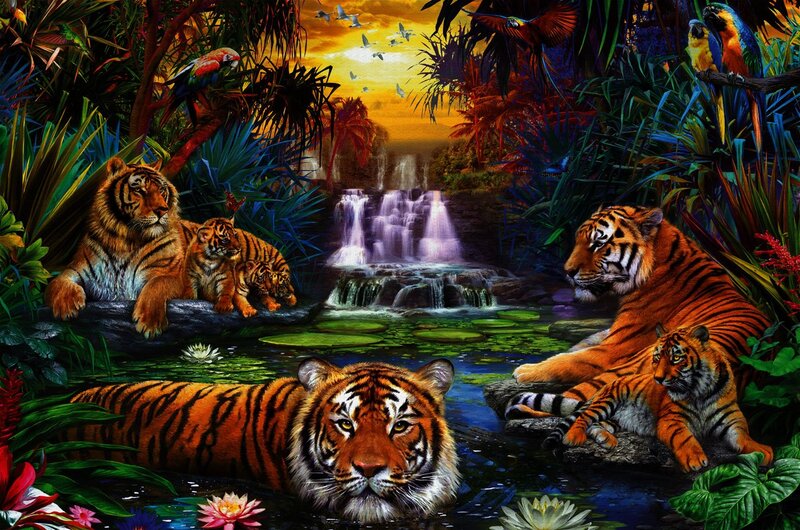 Tigers in Jungle — Orange