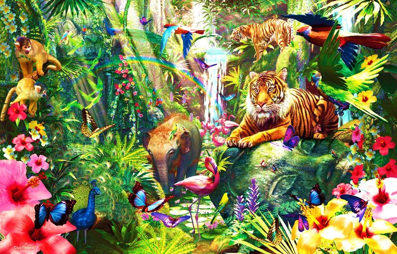 Tigers in Jungle