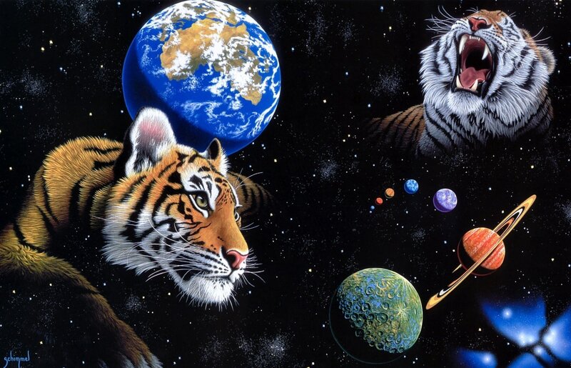Tigers in Space — Black