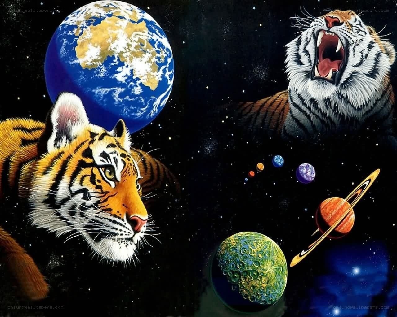 tigers in space with planets
