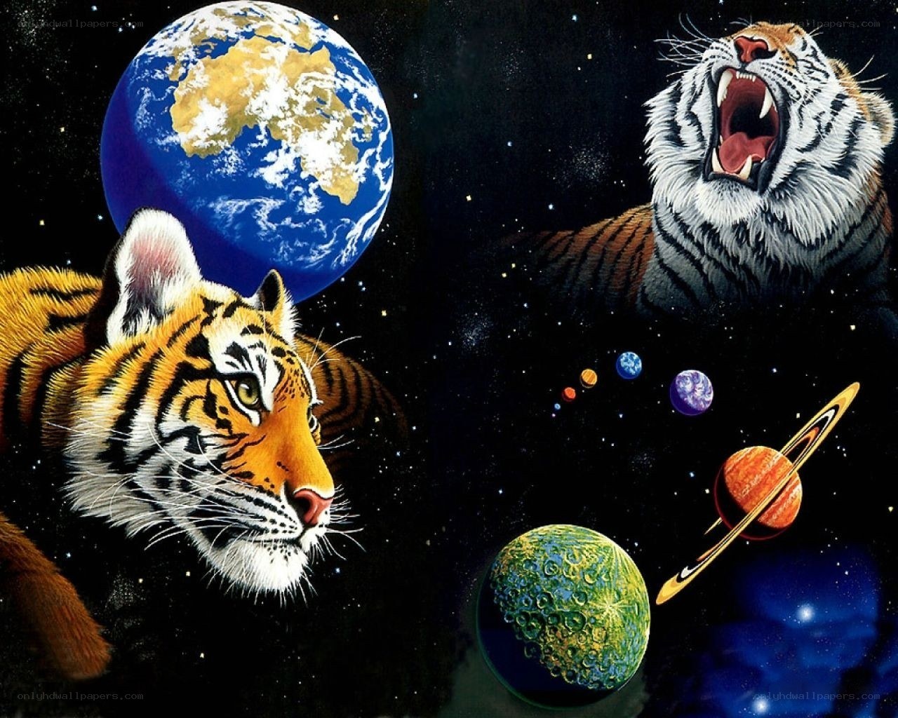 Tigers in Space with Planets