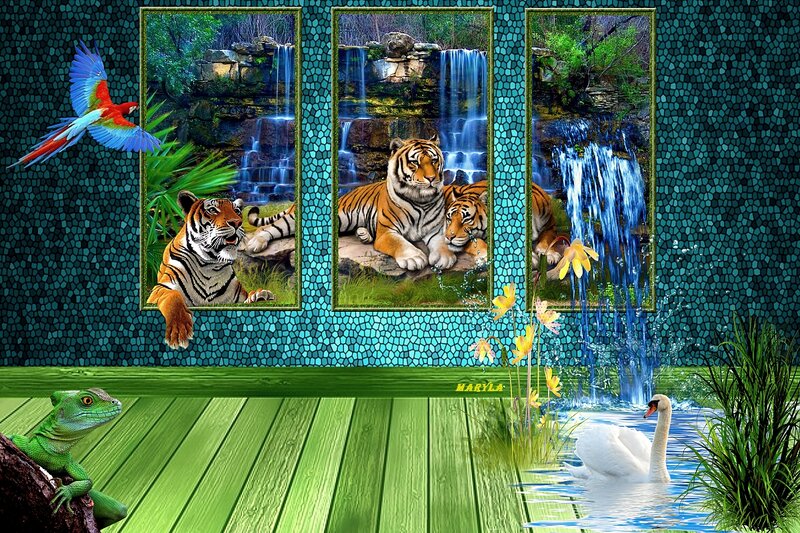 Tigers in Waterfall Scene