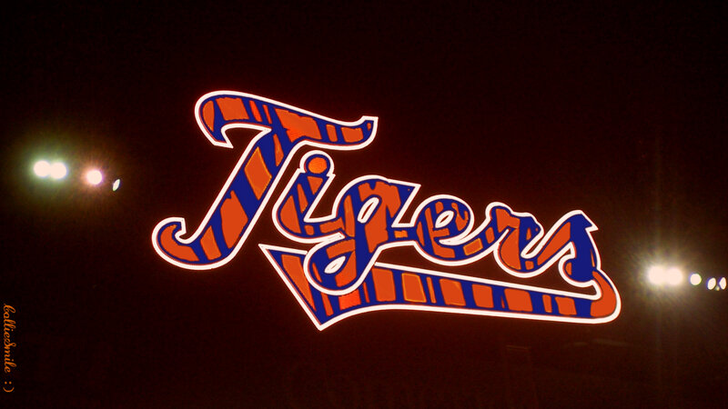 Tigers Logo at Night