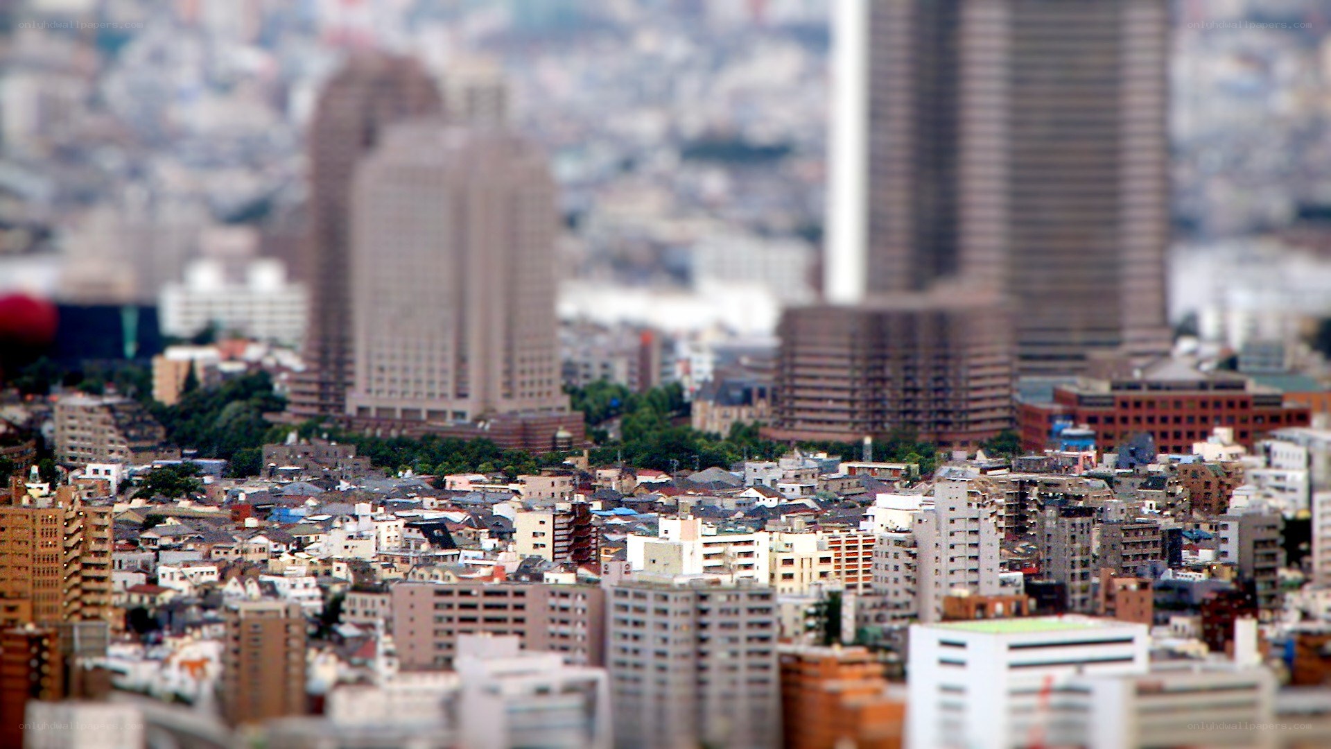 tilt-shift cityscape view