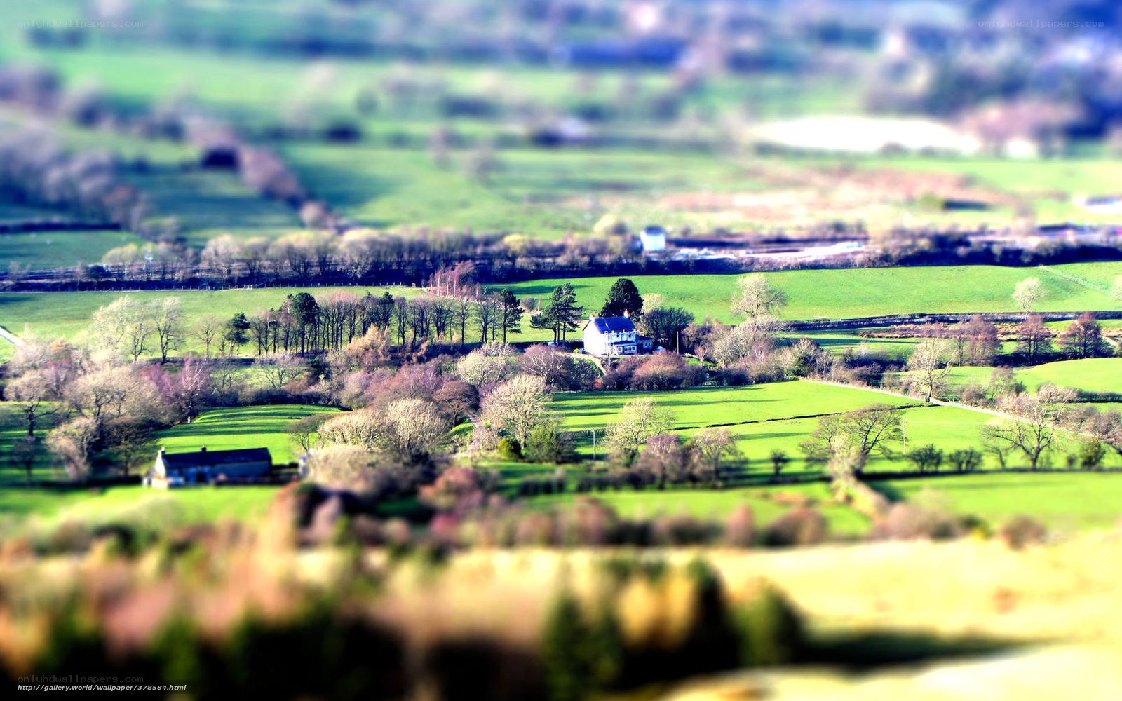 Tilt-shift rural landscape