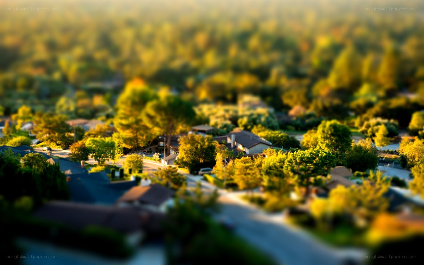 Tilt-shift suburban neighborhood