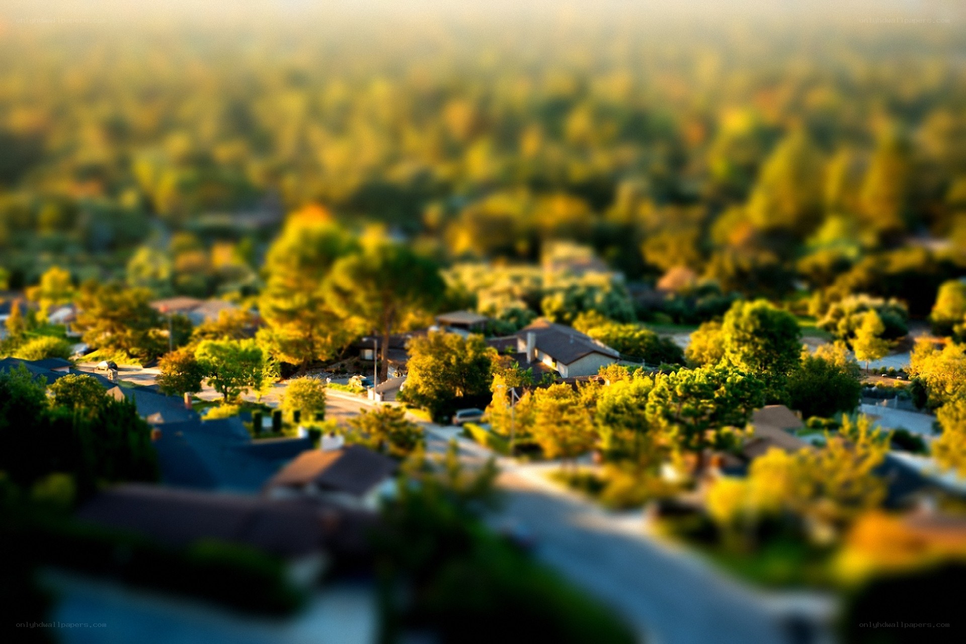 Tilt-shift suburban neighborhood