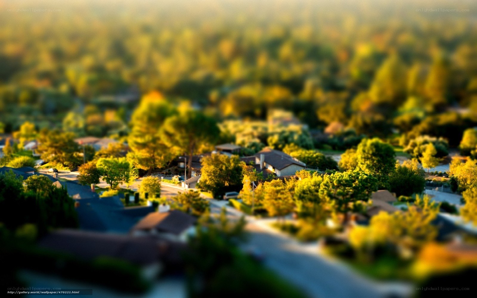 Tilt-shift suburban neighborhood