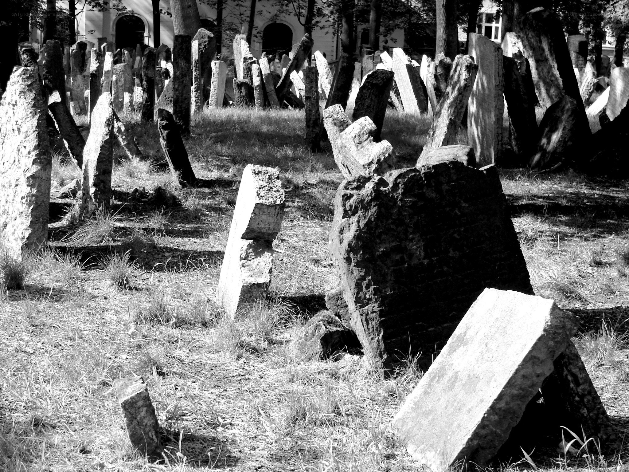 Tilted gravestones in a cemetery