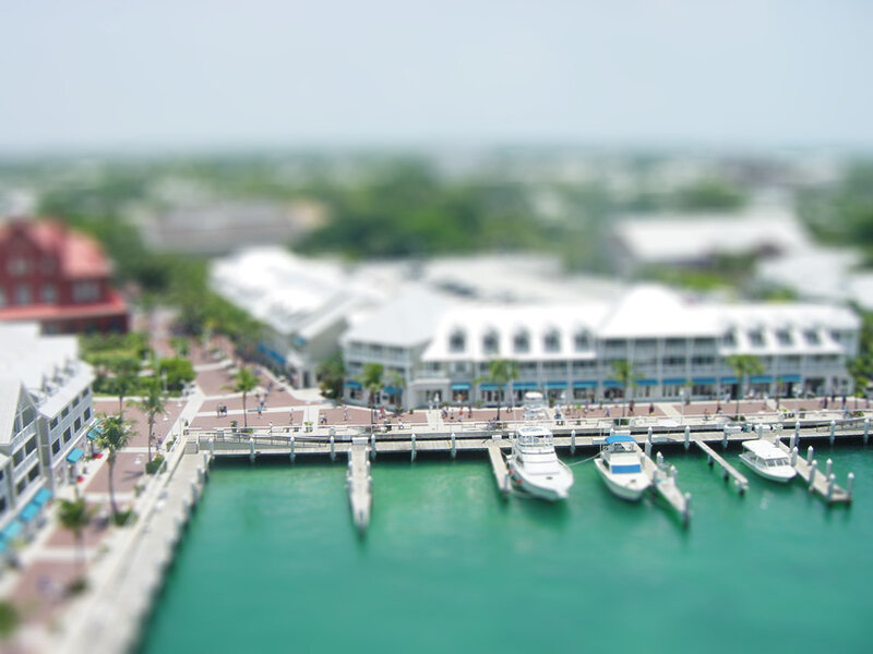 Tilted view of marina