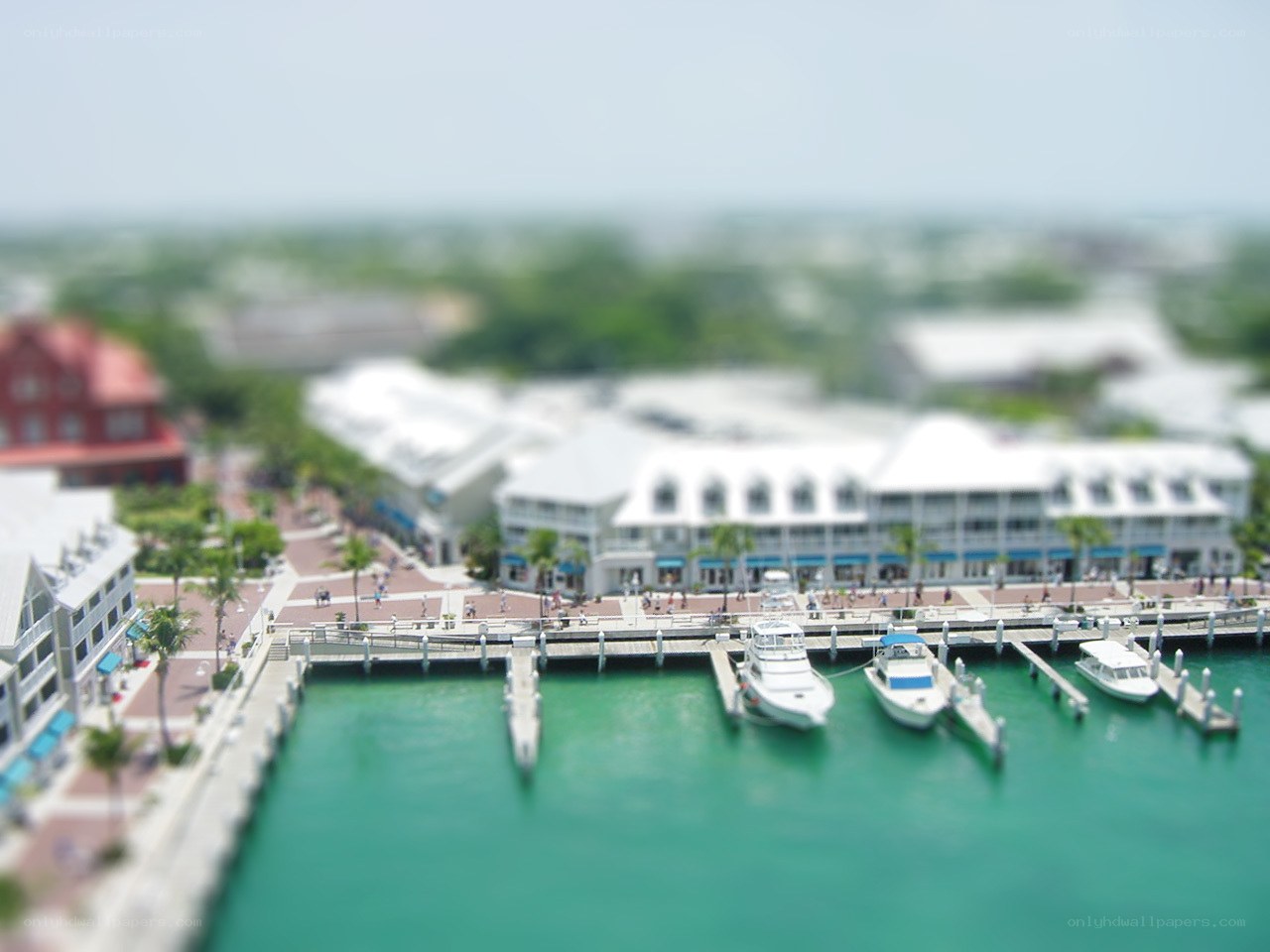 Tilted view of marina