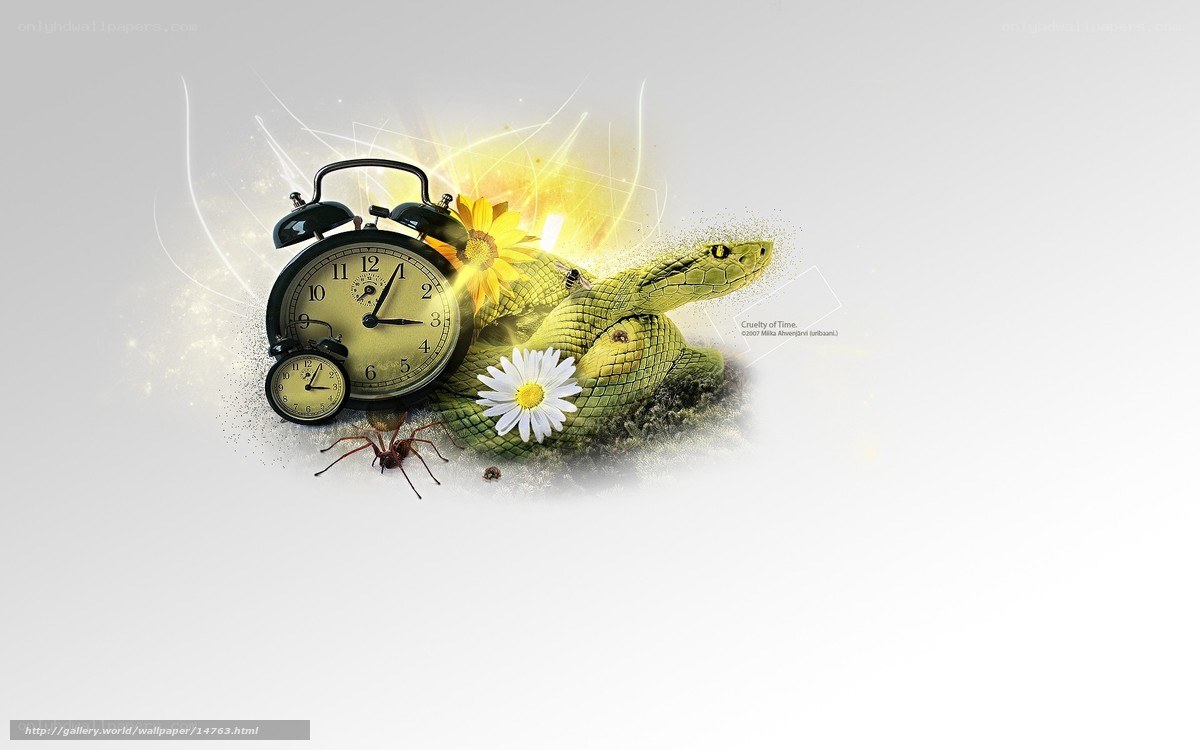 Time and Nature Collide