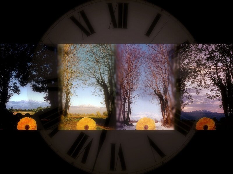 Time and seasons landscape
